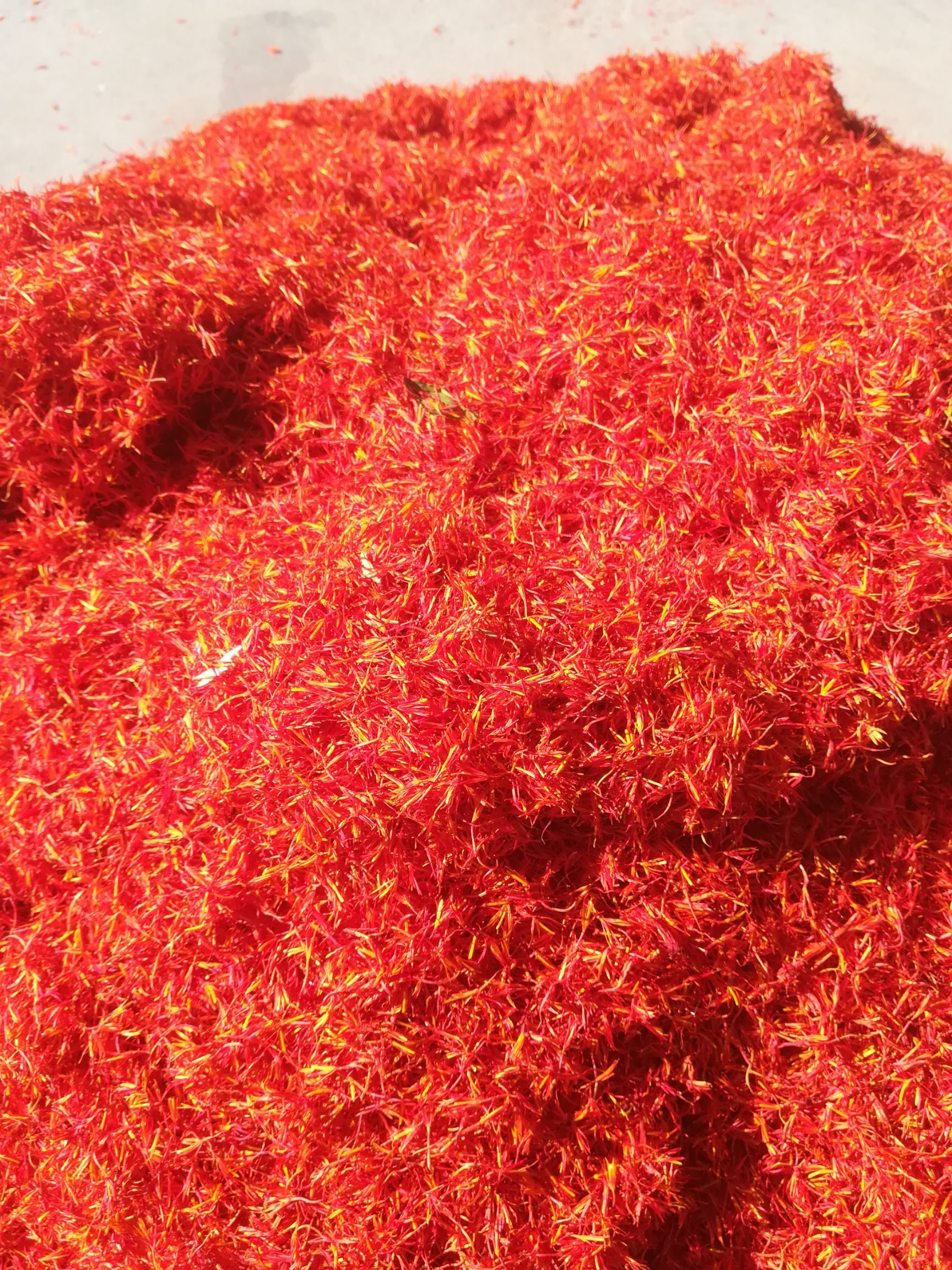 供应大厅  中药材  红花 商品详情 我生长在新疆伊犁,自家种的红花