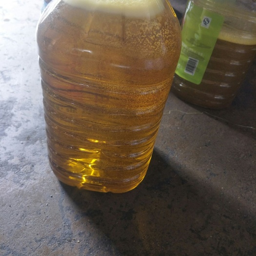 禄丰市 纯物理压榨菜籽油