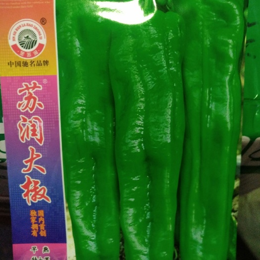 夏邑县 苏润大椒辣椒种子
