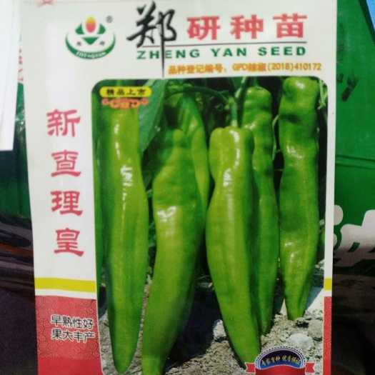夏邑县 新查理皇辣椒种子