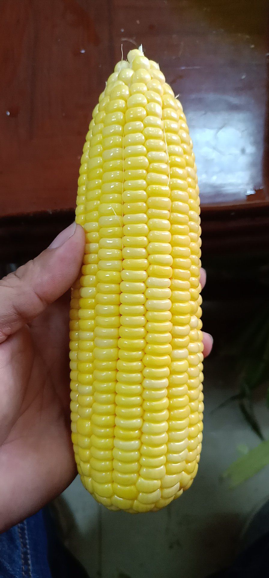 太阳3号玉米 甜 带壳