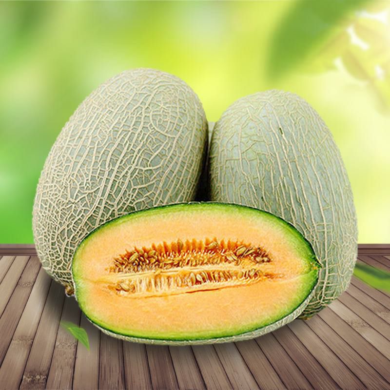 伽师瓜甜瓜哈密瓜，新疆哈密瓜