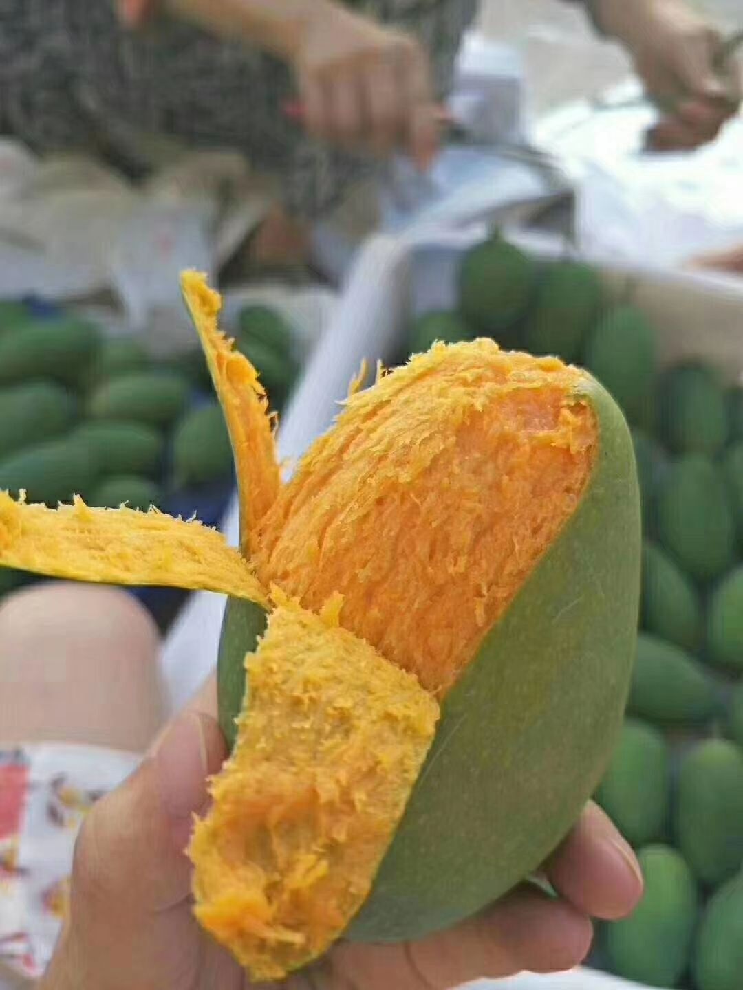  正宗攀枝花米易椰香——芒果中的爱马