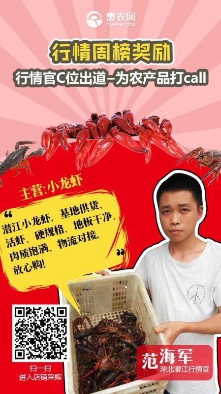 潜江市潜江小龙虾 6以上带炮头，大青。硬规格