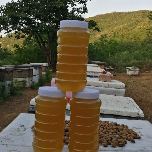 石家庄 自产自销纯蜂蜜，第一手货源，假一赔十，量大从优。