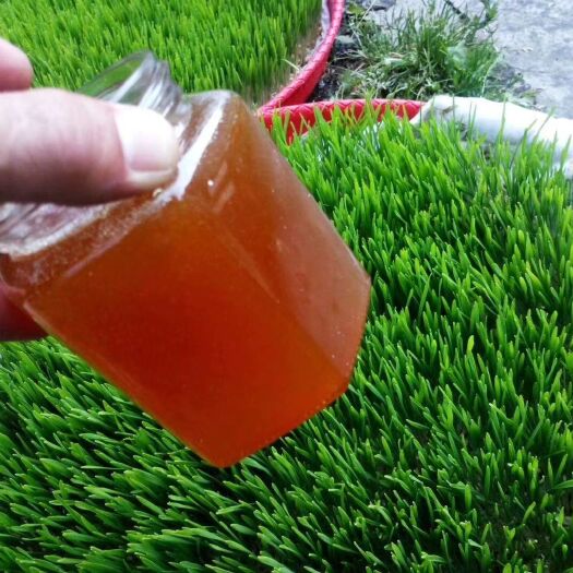 大理市 古法手工麦芽糖，古法传承，手工精品！