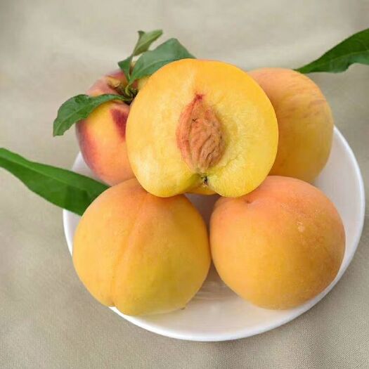 蒙阴县 黄金蜜桃，黄金蟠桃