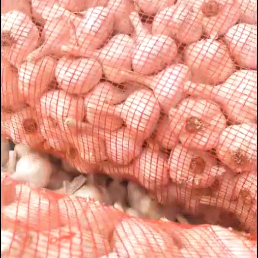 兰陵县白皮蒜  苍山四六瓣蒜头，蒜米