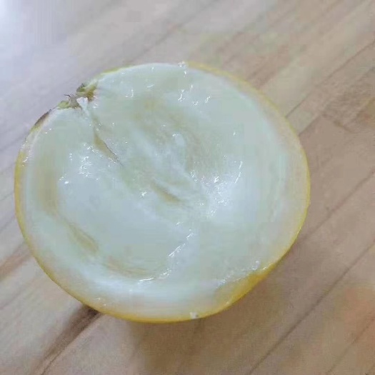 灵山县 黄晶果苗