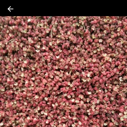 伊川县大红袍花椒，皮厚味麻，色泽鲜艳，自己种植，保质保量。