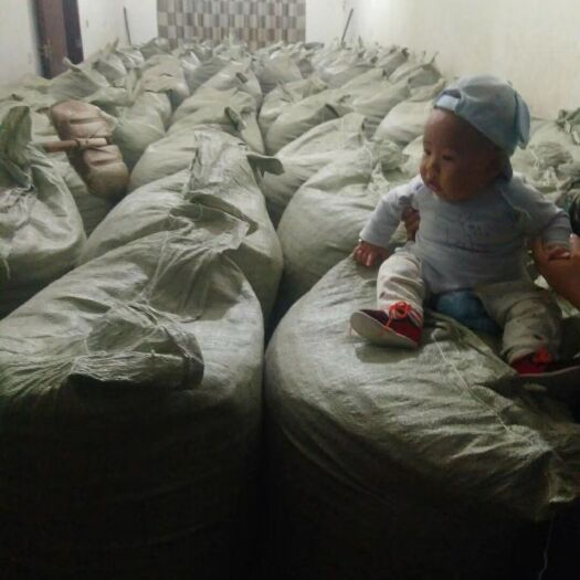 汉源县花椒叶 一级 干花椒