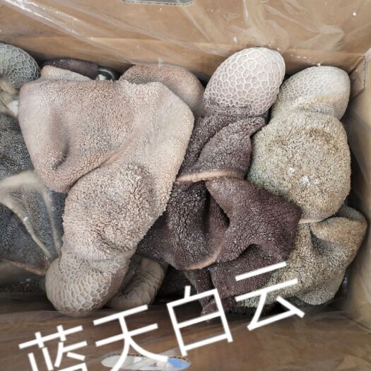 中牟县羊杂  自己家加工生产的全熟羊毛肚，一手货源！质量保证，