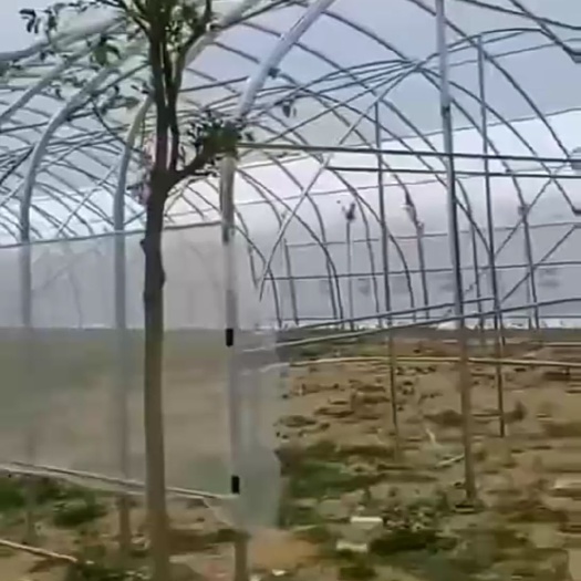 盐城种植大棚 厂家直销多款种植棚养殖棚及连栋棚