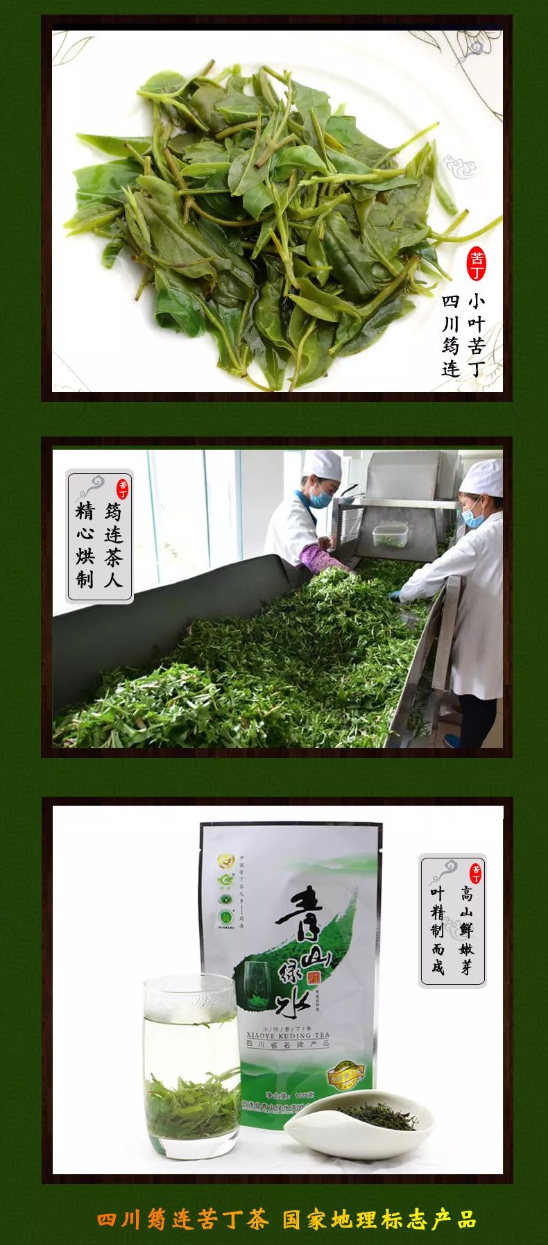  筠连地标小叶苦丁茶可包邮