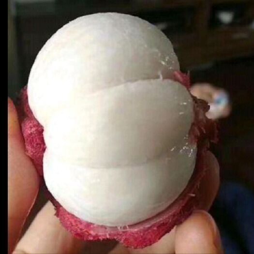 贵港 精品优选靓山竹