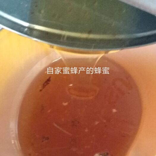 平顶山意蜂蜂蜜 塑料瓶装 2年 