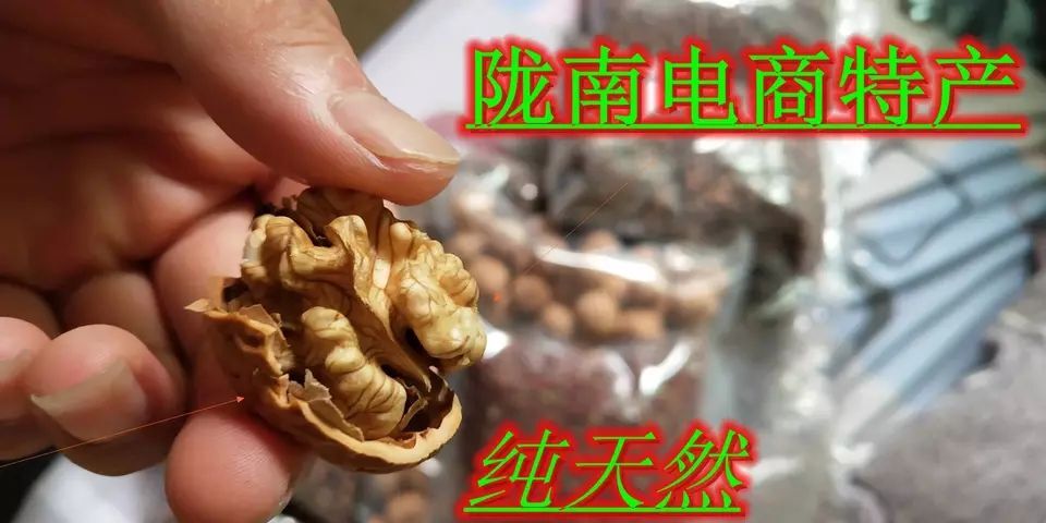 西和县每日坚果 薄皮老树  天然  网红 饱满  包邮 零食坚果核桃