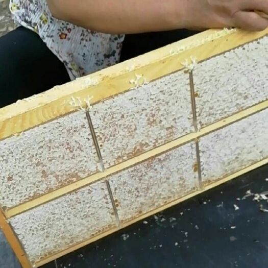 宜阳县蜂巢蜜 巢密，天然蜂巢密自营自销，欢迎到店查购。