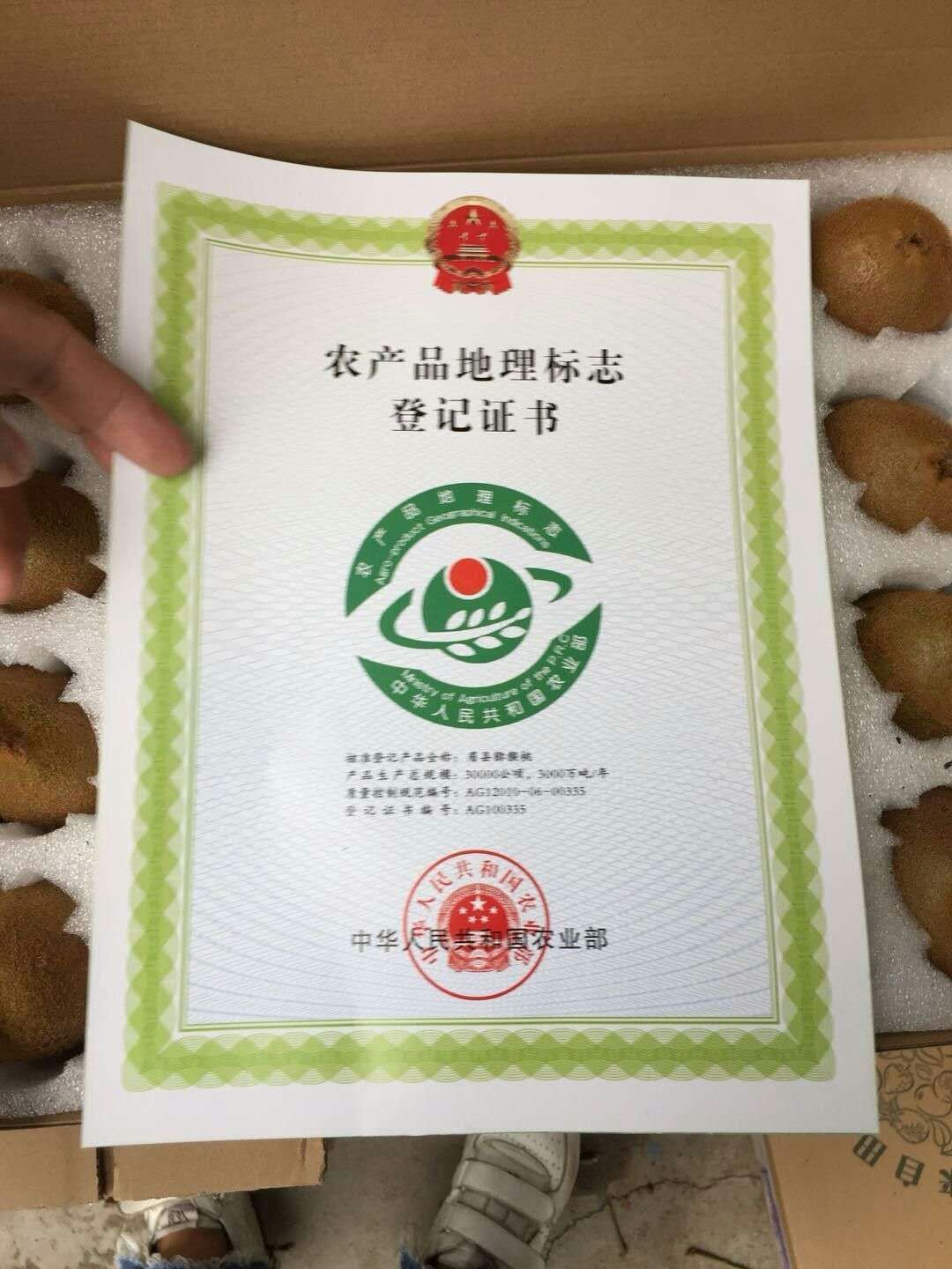  徐香猕猴桃 陕西眉县，毛重10斤生鲜泡沫箱装，精选中大果，