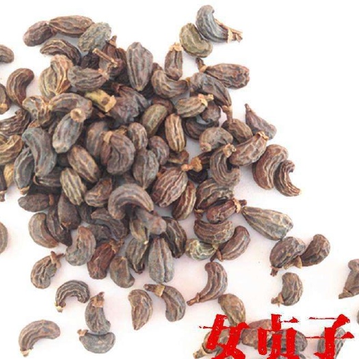 女贞子新货（生酒）规格齐无硫 干货  一公斤起包邮