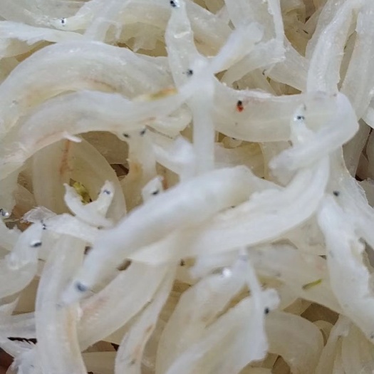 饶平县银鱼干 24个月以上