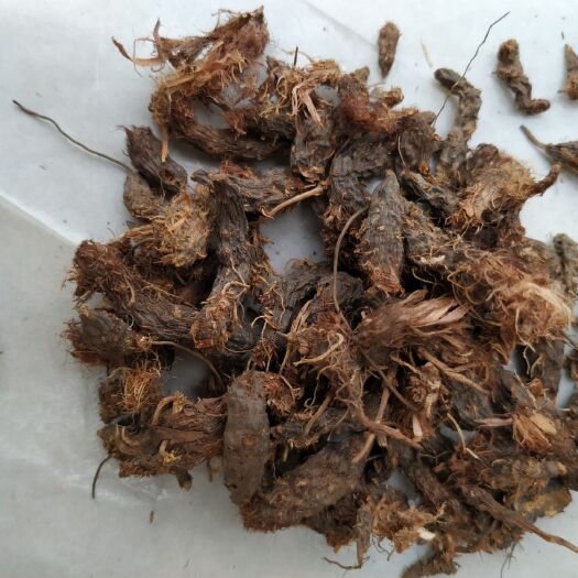 纳雍县 贵州正品 香 香附500克包邮 香附粉中药材