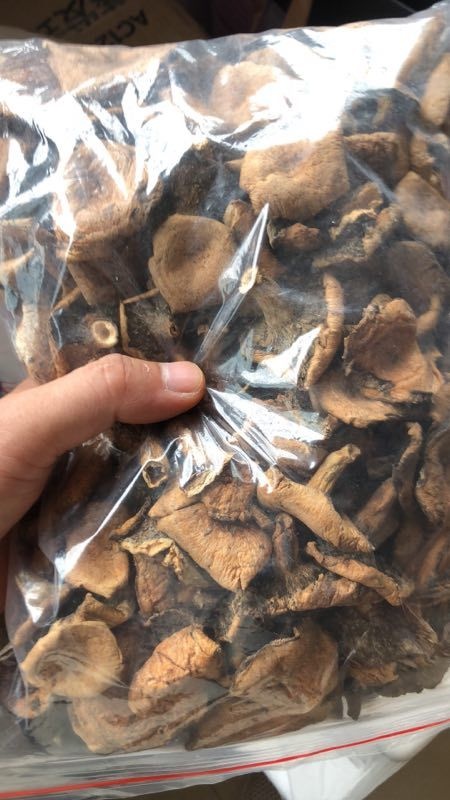 神龙架干松乳菇精选包邮