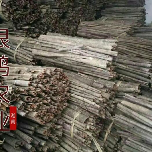 安化县 银鸿农业供应厚朴皮厚朴丝