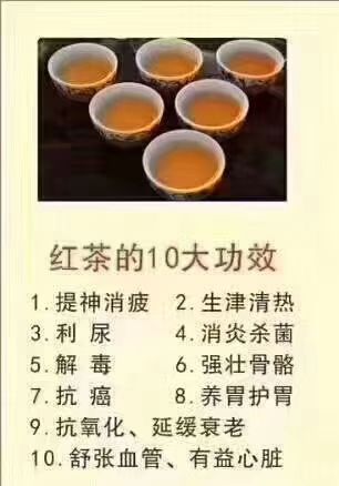  红茶 英红9号