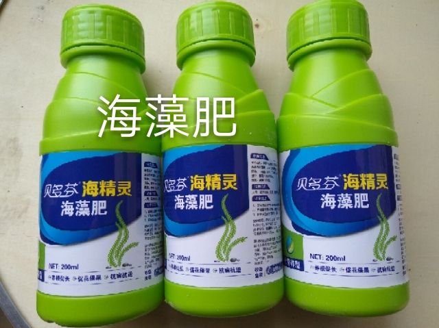  授粉精  多效唑悬浮剂  催熟上色剂  二氢钾 
十二元素