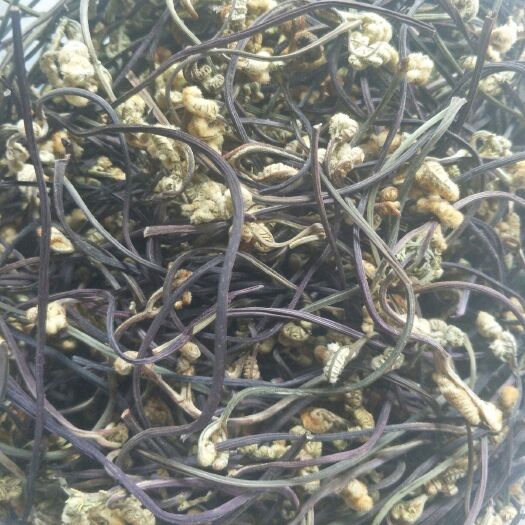 洱源县 云南高山农家自采高山天然干蕨菜，天然健康，美味佳肴！