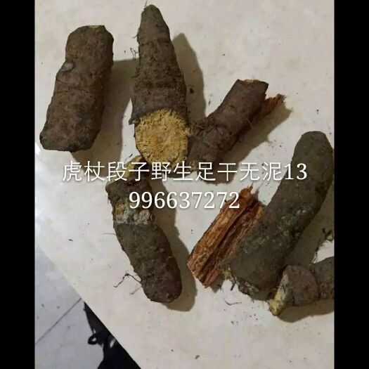 重庆市 虎杖段子货