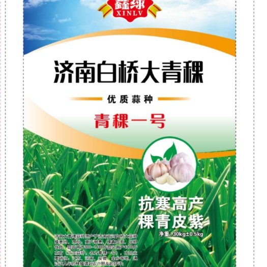 商河县大蒜种子  济南大青稞蒜种