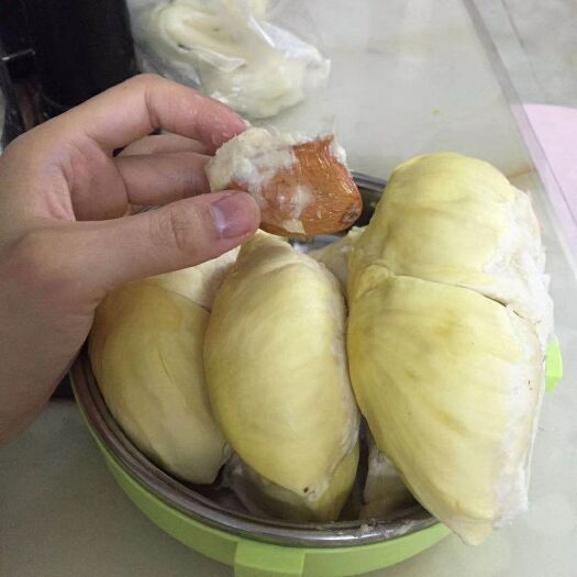 凭祥市 金枕头榴莲，果园直供，果形杠杠的