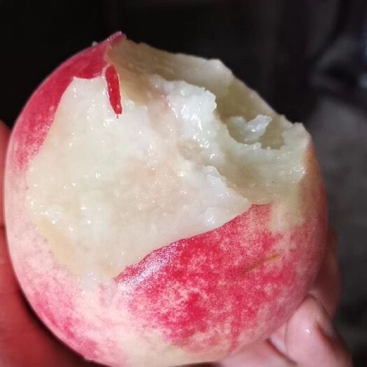 新昌县 正宗奉化水蜜桃(蜜露)，清甜可口，爽脆