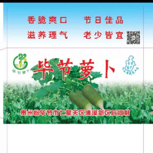 毕节 特色水果萝卜