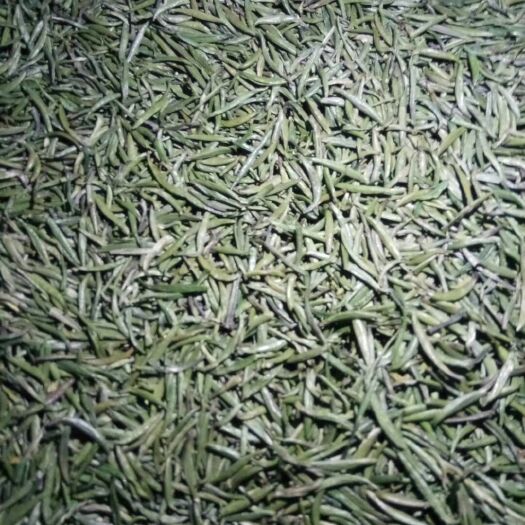 金寨县金寨绿茶 金寨翠眉