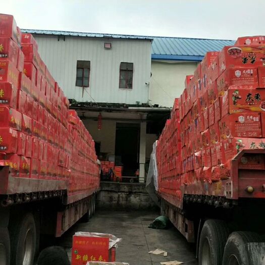 红枣，一手货源，整箱批发，一箱20斤。新疆或广州两仓直发。