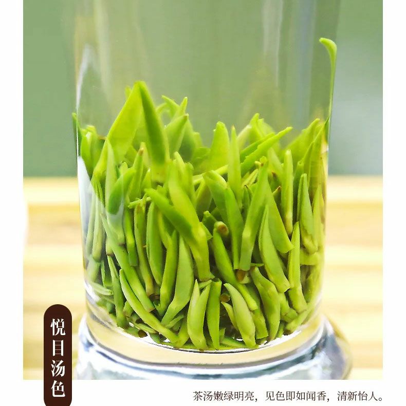 新茶2025年 雀舌