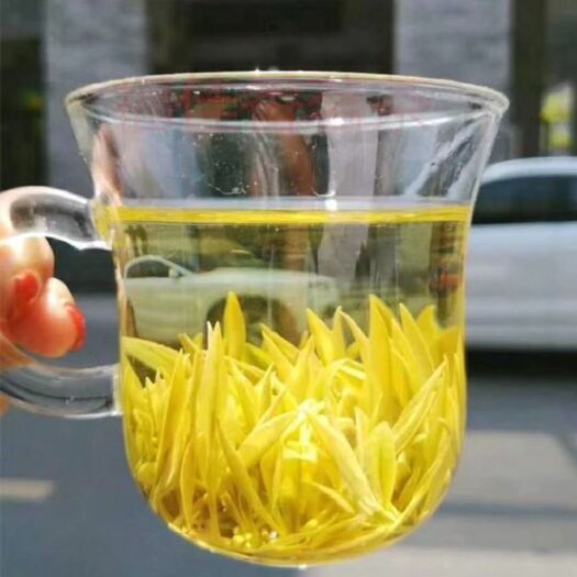 缙云县 黄金茶，缙云黄茶