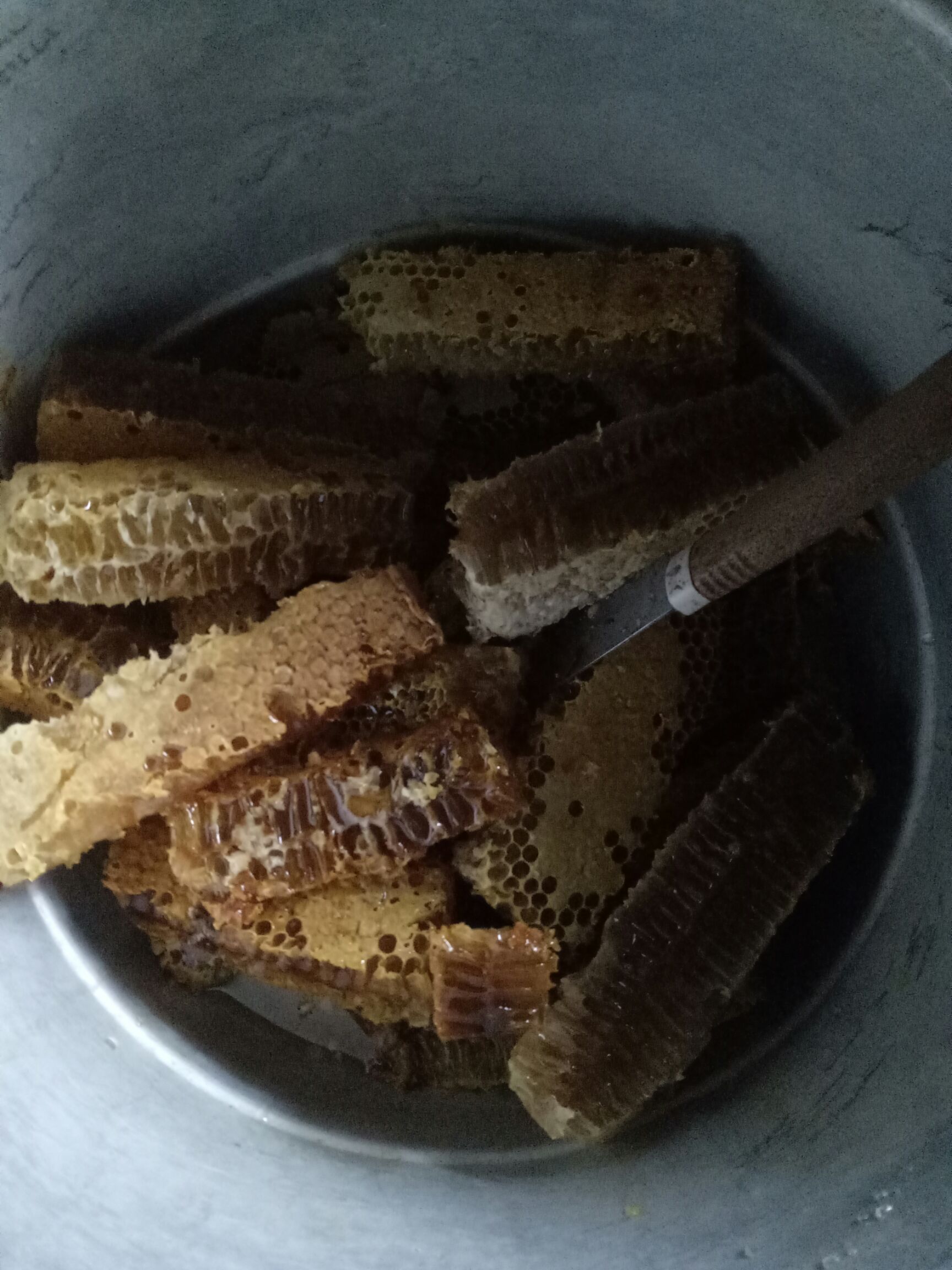 梦见很多野生蜂蜜什么预兆(梦见很多野生蜂蜜什么预兆呢)