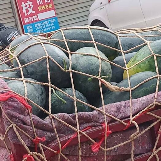 太康县黑美人西瓜 黑美人大量上市，量大，交通便利，支持代购