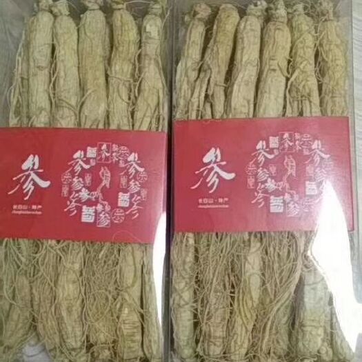 抚松县 人参，西洋参