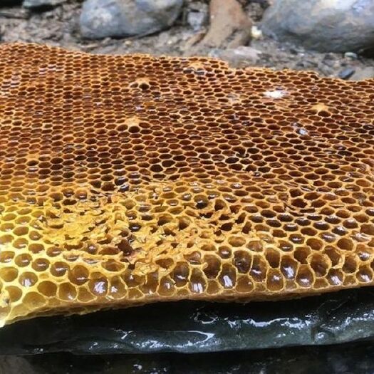 寻乌县 农家土蜂蜜，大自然的最美味