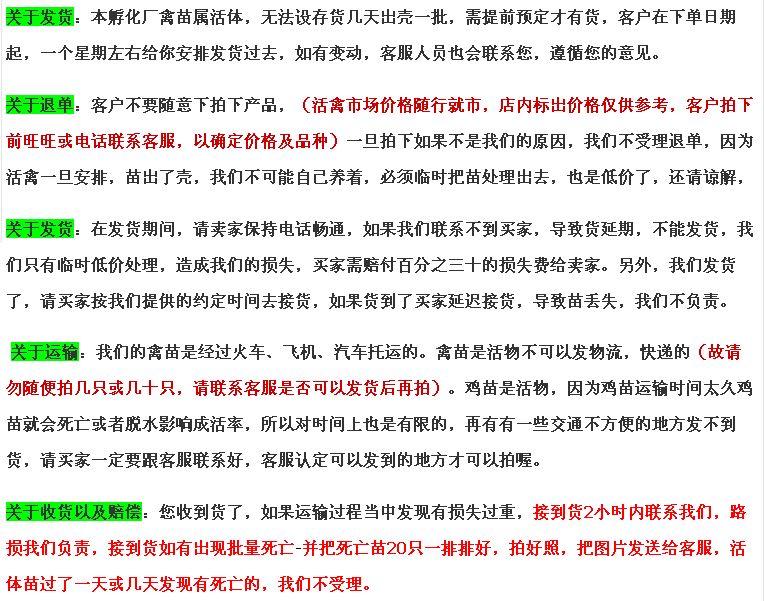 K9鸡苗  K9麻黄公鸡苗 包运输包出厂疫苗包运输成活保质保量