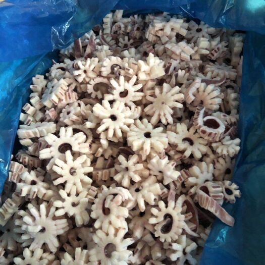 烟台秘鲁鱿鱼