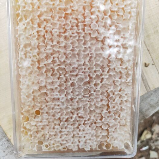临城县 天然蜂蜜