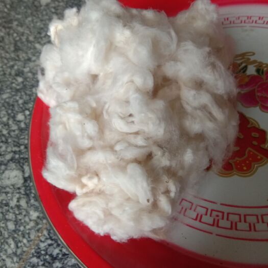 盈江县 家用无公害纯棉花