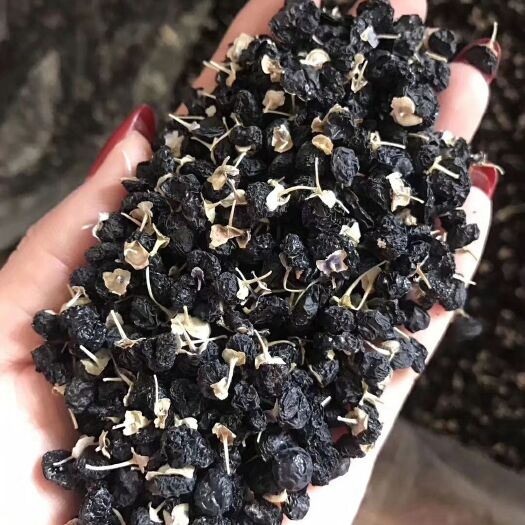 柴达木盆地黑枸杞500克散装粒粒挑选包邮