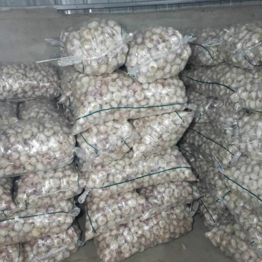 邳州市 邳州精品大蒜